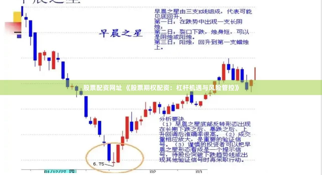 股票配资网址 《股票期权配资：杠杆机遇与风险管控》