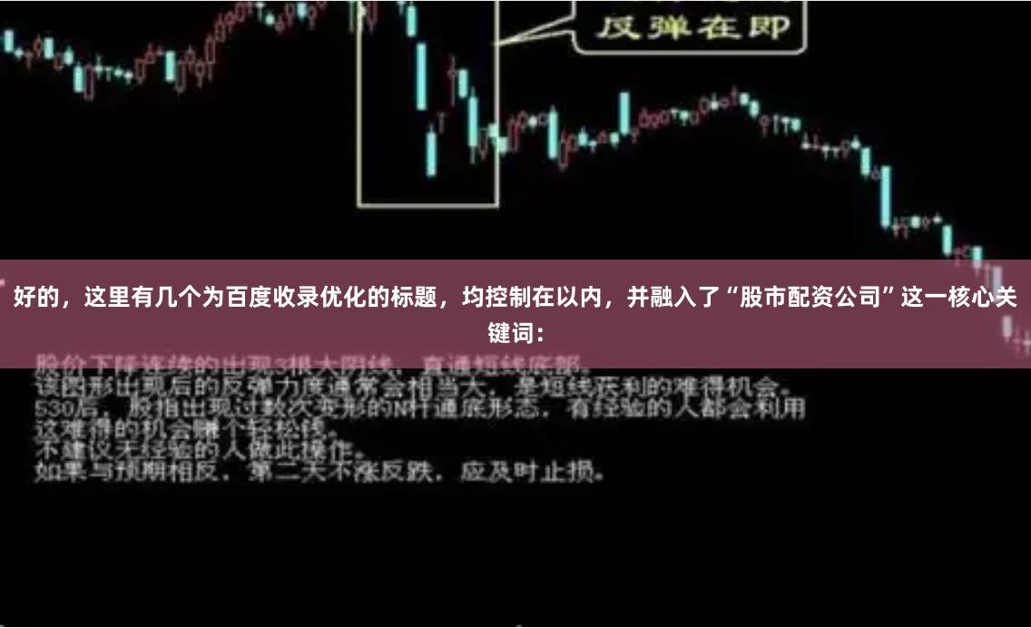 好的，这里有几个为百度收录优化的标题，均控制在以内，并融入了“股市配资公司”这一核心关键词：